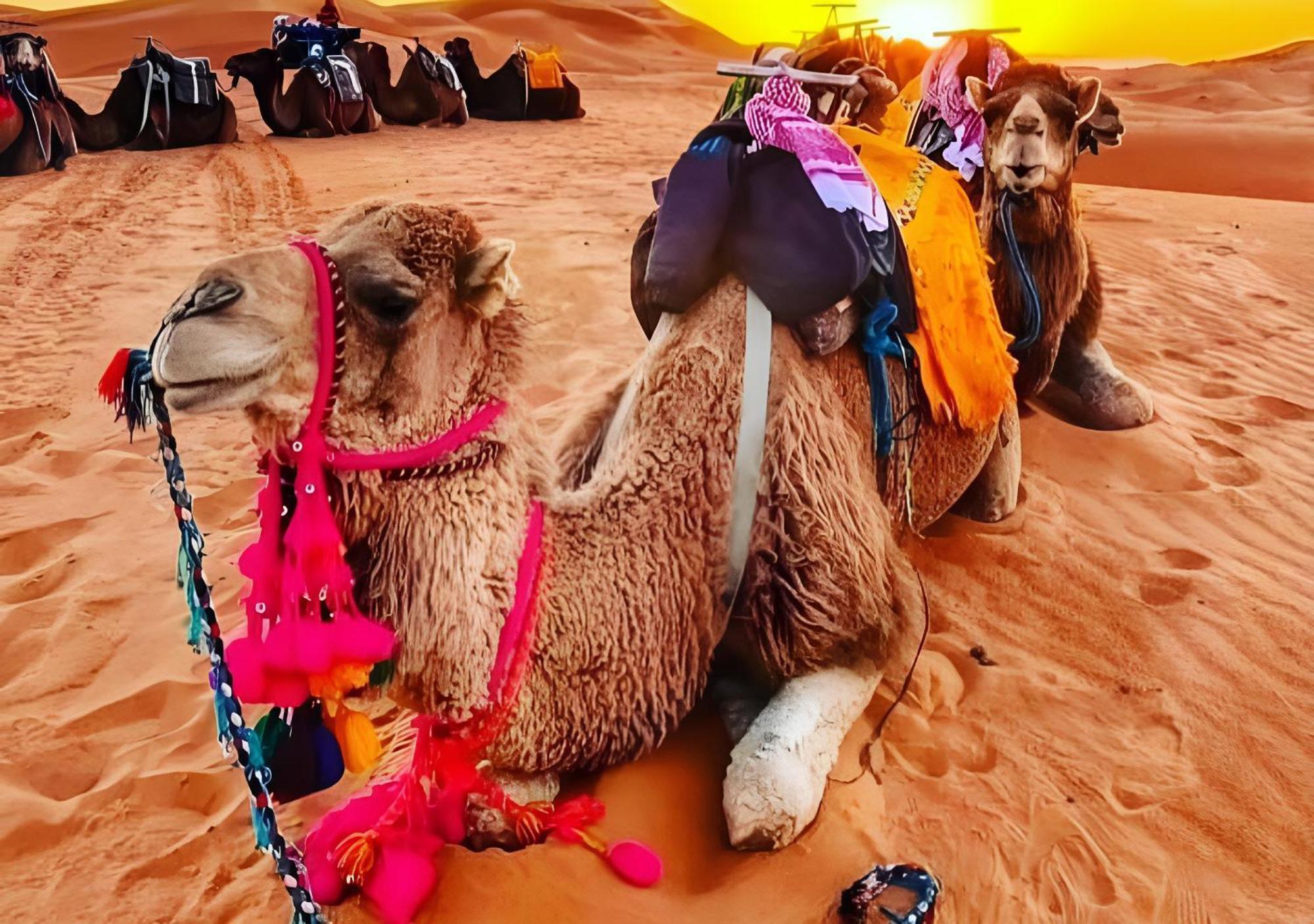 Merzouga Luxurious Tented المظهر الخارجي الصورة